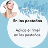 Rimel Mascara de Pestañas Rímel Suero Serum Aceite de Ricimo