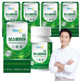 Nature Dream Beobi Boswellia Tablets 22.5g, 30 tablets, 5 units / 네이처드림 베오비 보스웰리아정 22.5g, 30정, 5개