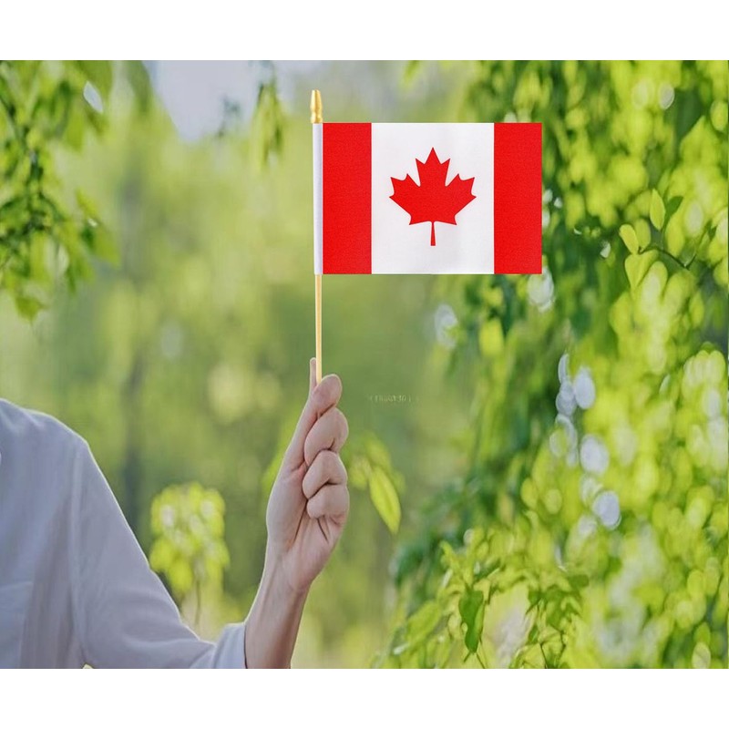 10 Pack Canada Flags -CA Handheld Flag- 5x8 in, Canadians