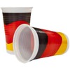 Pohly Party Set Germany 10 Plates, 10 Cups and 20