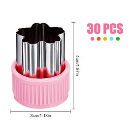 40Pcs Vegetable Fruit Cutters Shapes Set,10Pcs Stainless Steel Mini Cookie Cutters, Fruit Shape Cutters for Kids Bento Box Baking