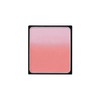 Paula B.A 3D Oasis Blush 02 [Face Color] 0.3 oz