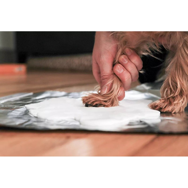 Tiny Ideas Kit Marco Recuerdo Memoria Mascota Perro Gato Huella