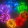 Hometown Evolution, Inc. Orange LED Fairy Lights - Plug in
