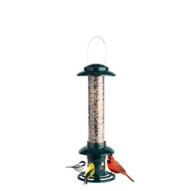 Squirrel Buster Evolution Truly Squirrel-Proof Bird Feeder, Double Cardinal Ring, 1.9-Pound Seed Capacity, Green