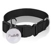 Poodle pet Black Nylon Dog Collar- Adjustable Dog Collar -