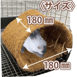 Kawai Passion Horihori Coconut Tunnel