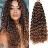 Curly Crochet Hair GoGo Curl Crochet Hair for Black Women