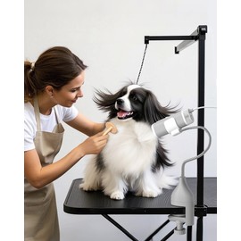 L&W BROS. 2-in-1 Pet Hair Dryer with Clamp Stand – Wearable & Hands Free Dog Grooming Dryer, 950W Low Noise Blower with 5 Heat & 3 Speed Settings, for Small to Medium Pets (White)