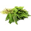 Epazote Herb - Dried Chenopodium ambrosioides C/S 100% from Nature