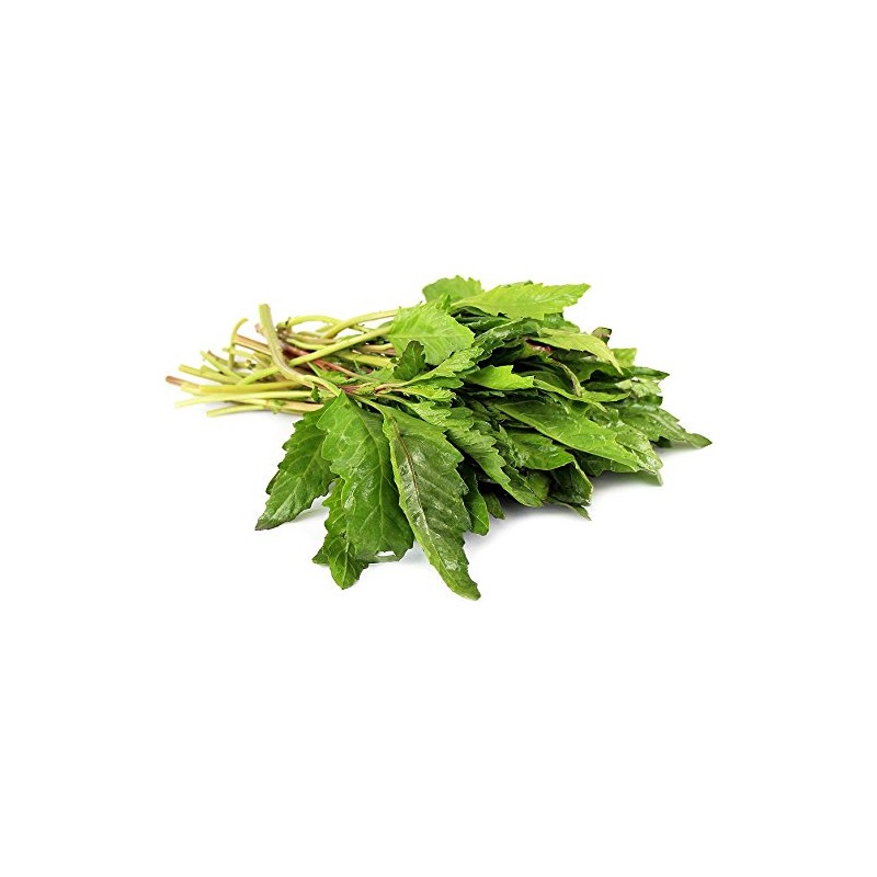 Epazote Herb - Dried Chenopodium ambrosioides C/S 100% from Nature
