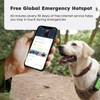 GlocalMe KeyTracker GPS Tracker for Dogs, Global Unlimited Range Pet