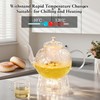 Glass Teapot with Removable Infuser-1500ml/50oz Clear GlassTea Pot for Stovetop,