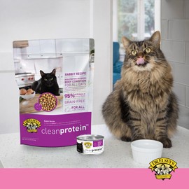 Dr. Elsey's cleanprotein Original Pork Recipe Wet Cat Food, (Pack of 24), 2.75oz Cans