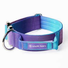 Spark Paws - Collar táctico para perro, collar de alta calidad, diseño robusto y duradero para razas grandes y fuertes, pitbulls, boxers - retro de lo