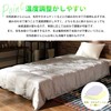 Showa Nishikawa Down Comforter Set of 2, For Spring, Summer,