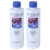 SpaChoice 1-Pint 2-Pack Premium Foam Free Hot Tub Anti-Foam, Made