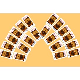 20Pack Surrender Novena