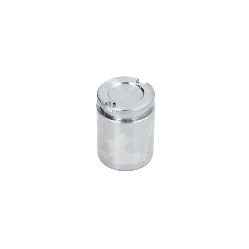 Autofren Seinsa D02519 Kolben, Bremssattel