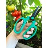 Meraki Floral Tools Garden Pruning Shears Scissors Carbon Steel Blades
