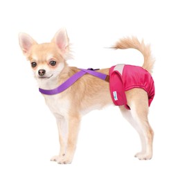 Paw Inspired Dog Diaper Suspenders with Velcro Fasteners | Stretchy Adjustable Suspenders for Female and Male Disposable and Washable Diapers | Fits Small, Medium and Large Size Pets (XS/S, Pink)