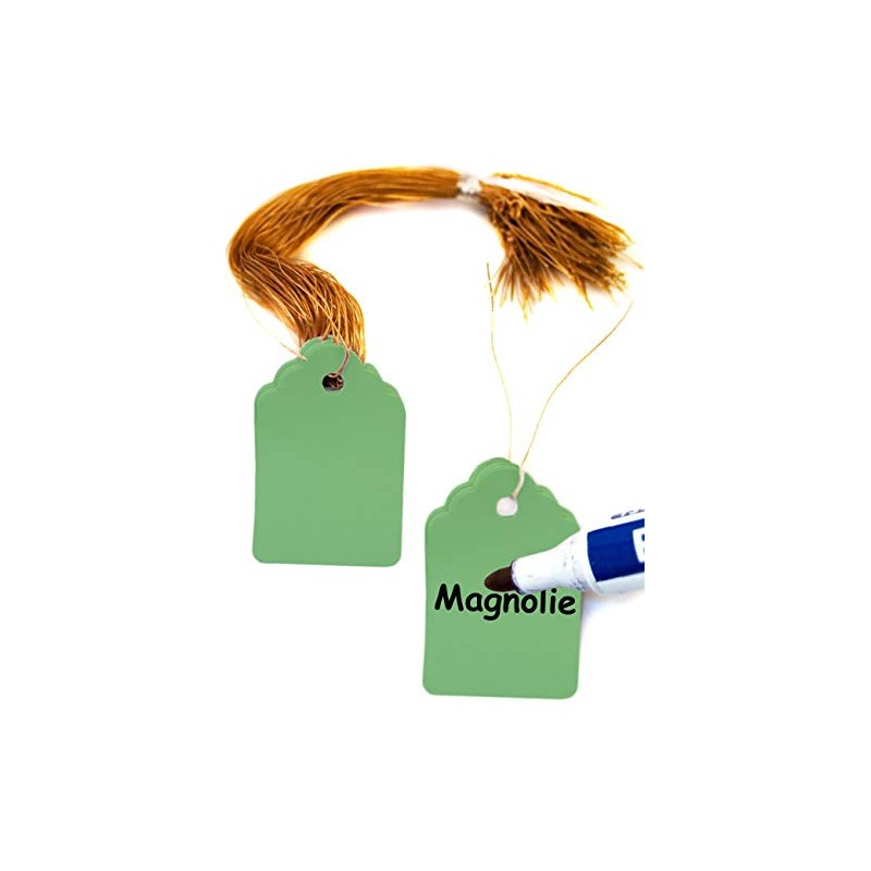 HomeTools.eu® 100 Plant Tags with String, Weatherproof, Plastic, 3.5 x