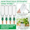 SiliFine 4 Set Plant Watering Devices Include Self Watering Spikes
