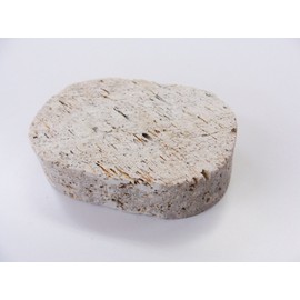 Towa Sangyo Heel Care Science Fiction Natural Pumice Stone