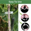 Dladhict 100PCS Secured Plastic Plant Clip, Upgrade Grape and Tomato