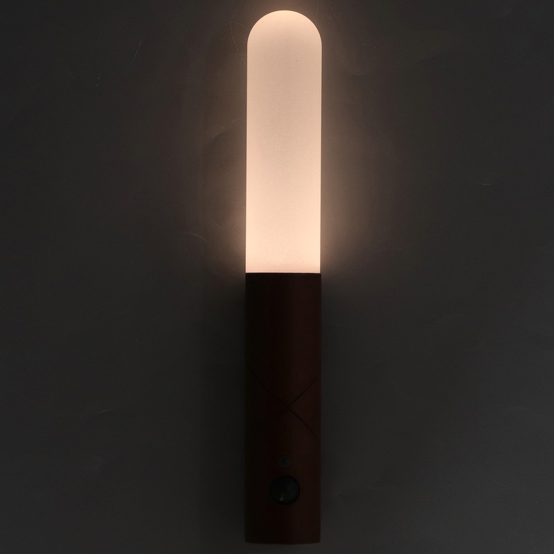 Smart Body Sensor Night Lights USB Rechargeable LED Cabinet Wardrobe