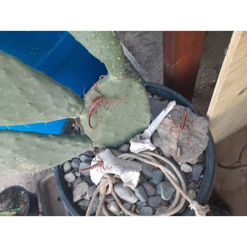 Wire Wrapped Copper Scorpion Cactus Garden Home Decorations 3D Sculpture