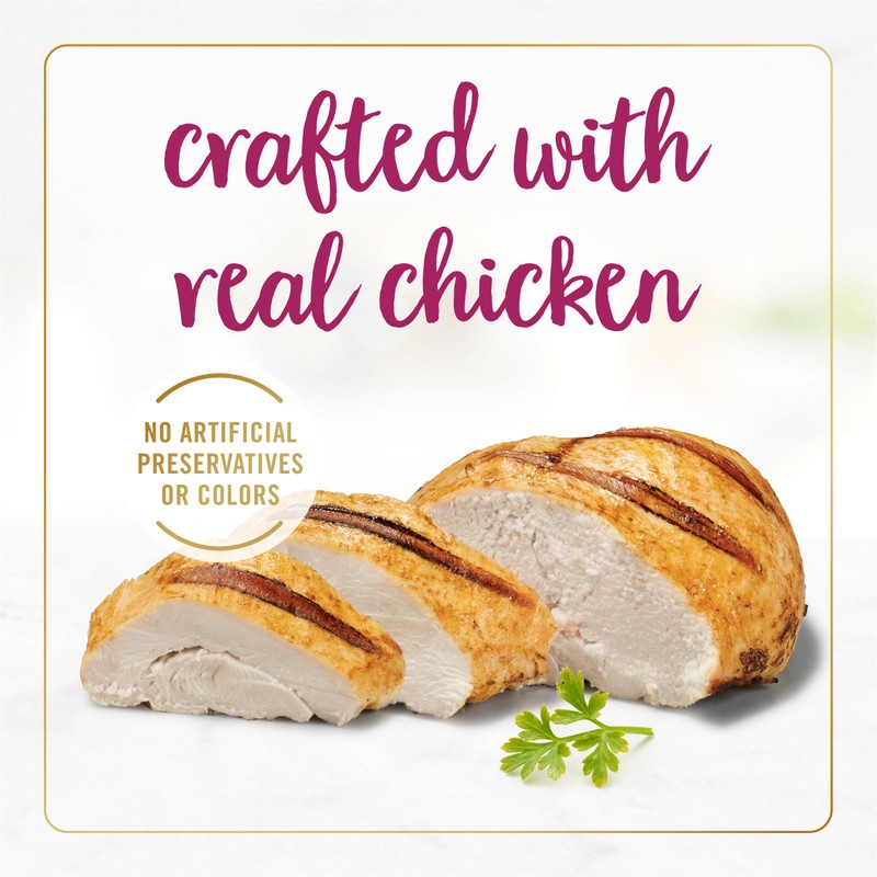 Purina Fancy Feast Delights With Cheddar Grilled Chicken and Cheddar