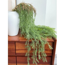 QenyiHPD 3 Artificial Hanging Plants UV Resistant Greenery Plants for Indoor Outdoor Decorations, Fake Vines for Home Wall Decorations, Bathroom Living Room Outdoor Porch Patio Balcony Decor