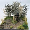 Tiardey Static Grass Tuft, Green Model Grass Tufts Railway Artificial