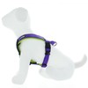 Pawtitas Pet Training Adjustable Reflective Padded Puppy Dog Harness Step