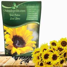 Outsidepride Dwarf Sunspot Sunflower Seeds for Planting - 1/4 Lb. Annual, Easy to Grow Flower Seeds w/Vibrant, Abundant Blooms for Cut Flower Arrangements & Pollinator & Vegetable Gardens