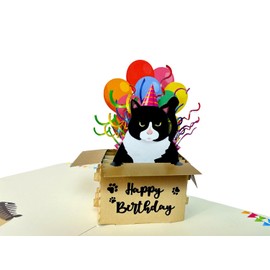 SENDAPOP Funny Birthday Card, Cat Pop Up Card for Cat Lovers, Women, Wife, Husband, funny 3D Birthday Cards for Adults and Kids, Greating Cards for Cat Owner