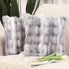 Madizz Set of 2 Soft Plush Short Wool Velvet Decorative