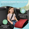 HiTS4Kids Child Car Seat (Red) - Practical, Comfortable and Safe