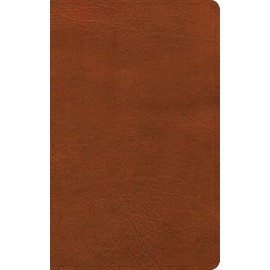 NASB Single-Column Personal Size Bible, Burnt Sienna LeatherTouch, Black Letter, Presentation Page, Full-Color Maps, Easy-to-Read Bible Serif Type