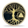4 Year Sobriety Chip Tree of Life AA Medallion Recovery