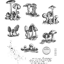 Tim Holtz - Stampers Anon Cling RBBR Stamp Set, Tiny Toadstools, One Size