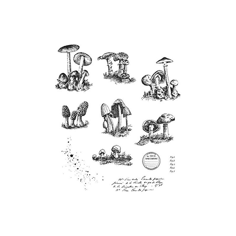 Tim Holtz - Stampers Anon Cling RBBR Stamp Set, Tiny