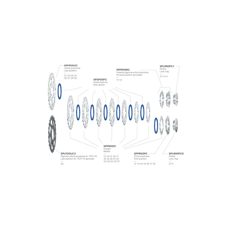 Miche Unisex's Primato 10 Speed Campagnolo Cassette, Silver, 12/29