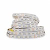 Mextronic LED Strip LED Strip 5050 RGB + White (6000K)