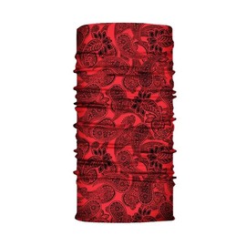 4Trails Bandana Snood Face Mask Windproof Scarf for Outdoor Sports Motorcycle Skiing Running Cycling Winter, Summer, Xmas Christmas All Year Round (S384 Red Paisley)