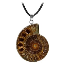 Kaltner Präsente Gemstone Necklace with Pendant/Ammonite Pendant Real Petrification/Leather Cord with Pendant/High-Quality Gemstone Pendant with Leather Chain/Ammonite Diameter 30 mm, Leather Leather
