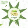 STRN Incense Cones, Citronella Cone Incense, Assorted Scented Incense Cones