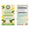 Dr. Tea Wellness Soursop Herbal Tea with Lemon Flavor -