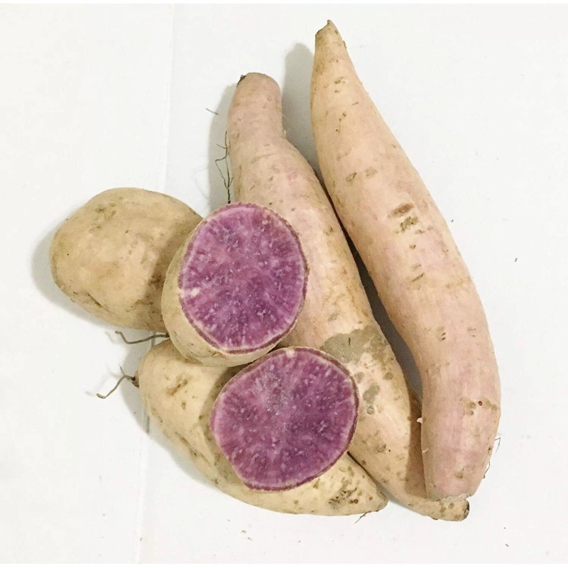 No Fresh Okinawan Hawaiian Sweet Purple Potatoes 3LBS.(not For Planting